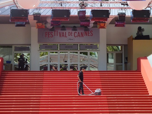 Festival de Cannes cinema